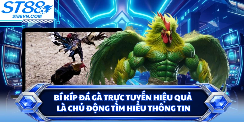 Bí kíp đá gà trực tuyến hiệu quả là chủ động tìm hiểu thông tin