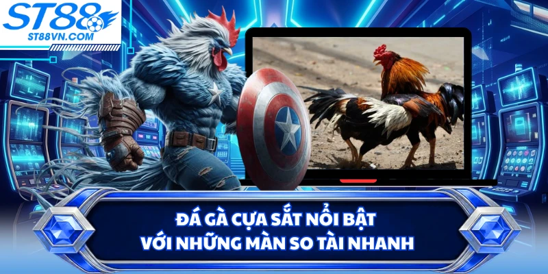Đá gà cựa sắt nổi bật với những màn so tài nhanh
