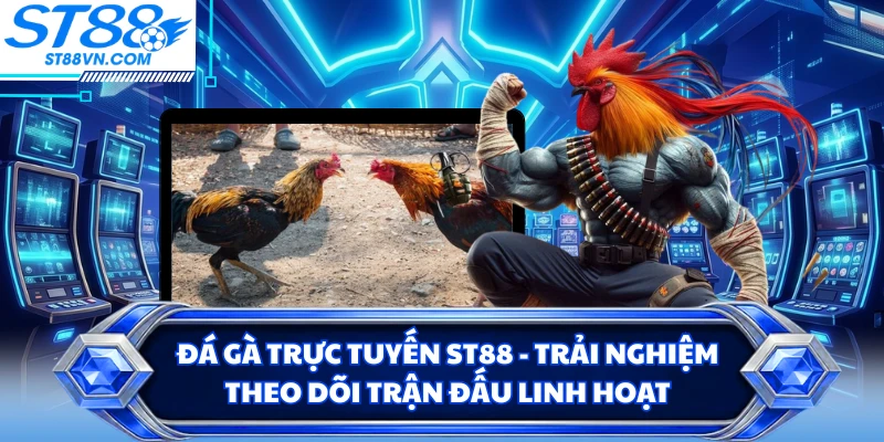 Đá Gà Trực Tuyến ST88 - Trải Nghiệm Theo Dõi Trận Đấu Linh Hoạt