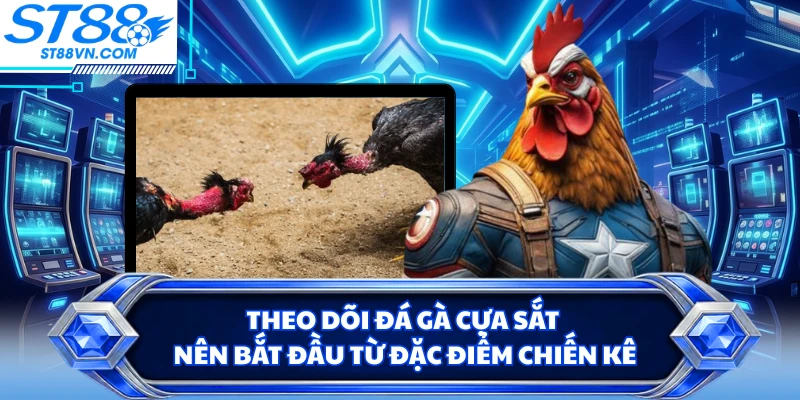 Theo dõi đá gà cựa sắt nên bắt đầu từ đặc điểm chiến kê