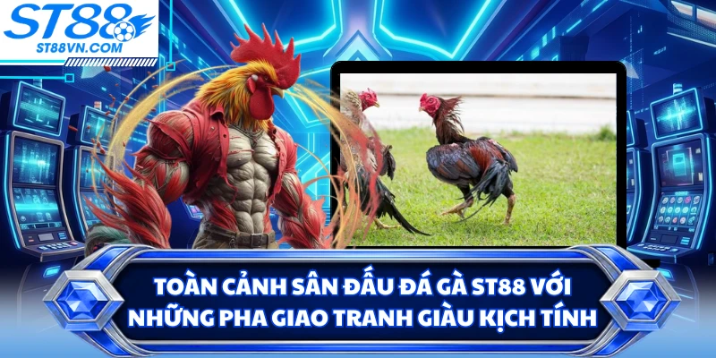 Toàn cảnh sân đấu đá gà ST88 với những pha giao tranh giàu kịch tính