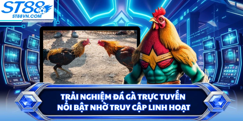 Trải nghiệm đá gà trực tuyến nổi bật nhờ truy cập linh hoạt